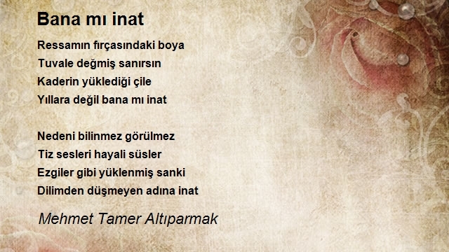 Mehmet Tamer Altıparmak