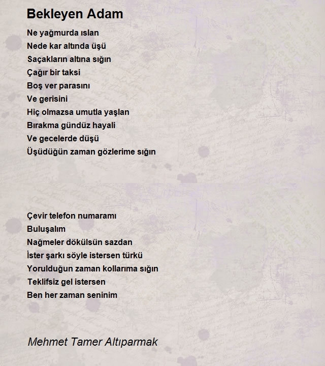 Mehmet Tamer Altıparmak