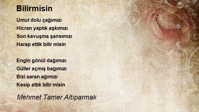 Mehmet Tamer Altıparmak