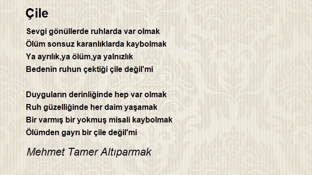 Mehmet Tamer Altıparmak