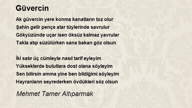 Mehmet Tamer Altıparmak