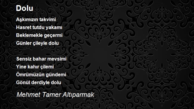 Mehmet Tamer Altıparmak