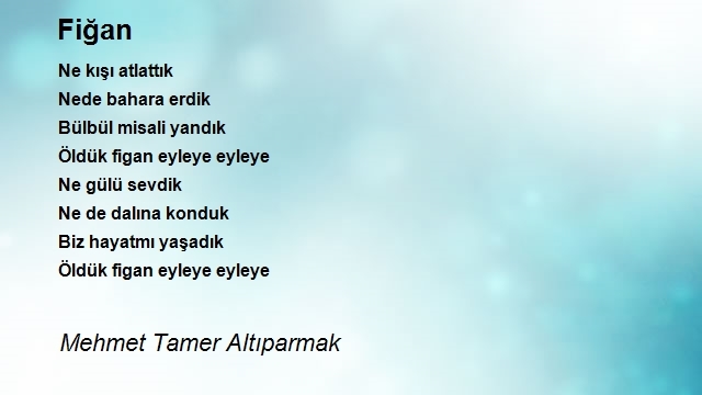 Mehmet Tamer Altıparmak