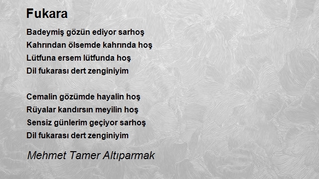 Mehmet Tamer Altıparmak