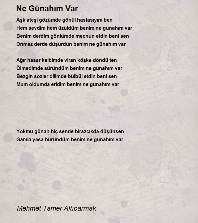 Mehmet Tamer Altıparmak