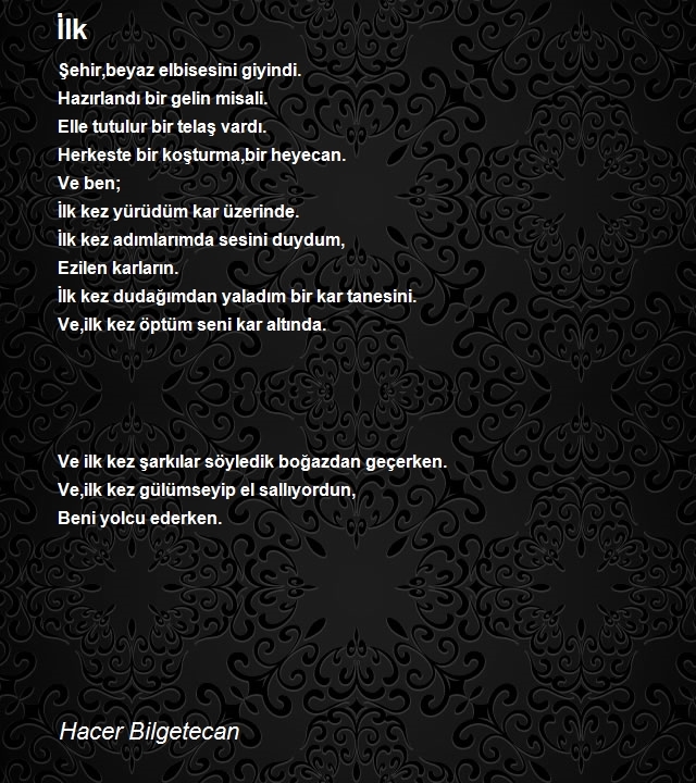 Hacer Bilgetecan