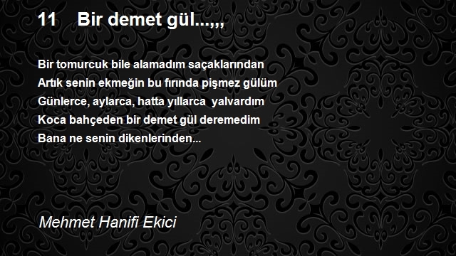 Mehmet Hanifi Ekici