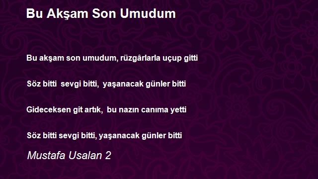 Mustafa Usalan 2