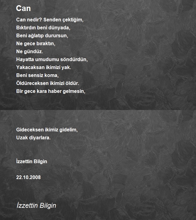 İzzettin Bilgin 