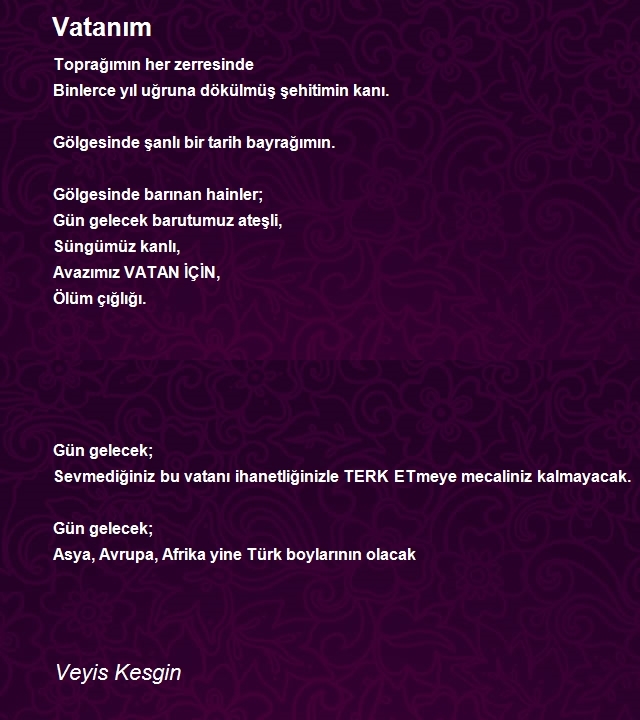 Veyis Kesgin