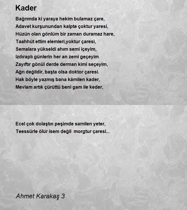 Ahmet Karakaş 3