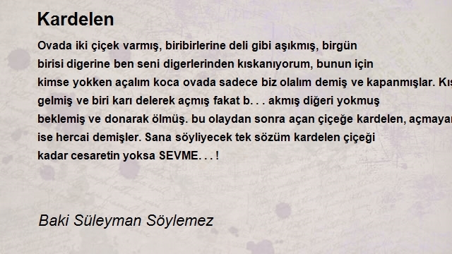 Baki Süleyman Söylemez