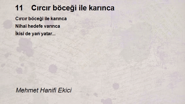 Mehmet Hanifi Ekici