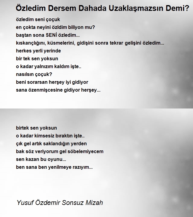 Yusuf Özdemir Sonsuz Mizah