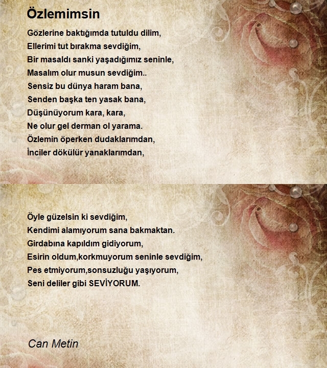 Can Metin