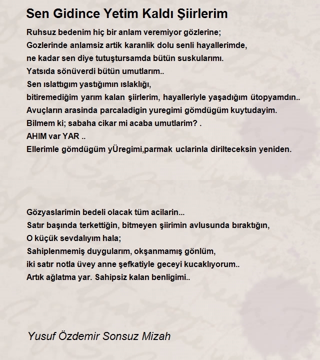 Yusuf Özdemir Sonsuz Mizah