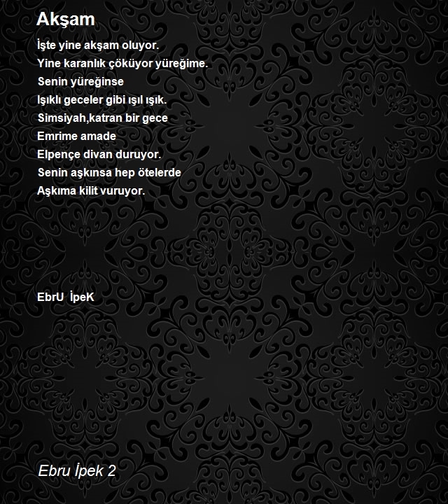 Ebru İpek 2