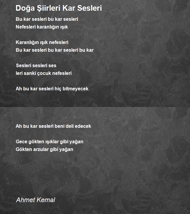 Ahmet Kemal