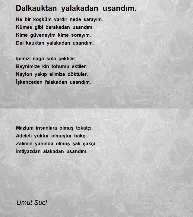 Umut Suci