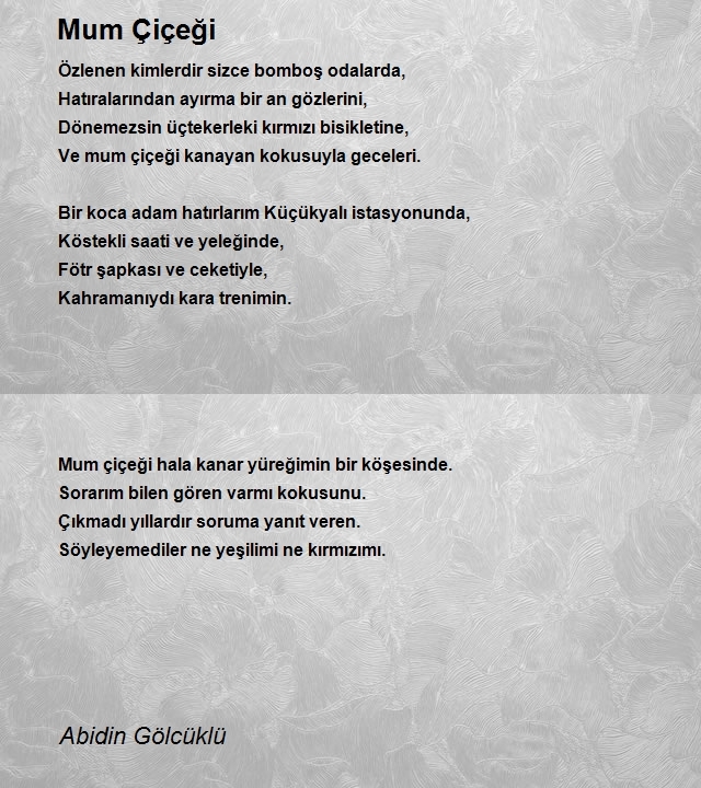 Abidin Gölcüklü