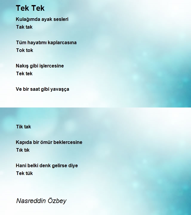 Nasreddin Özbey