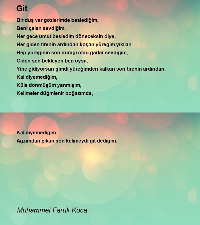 Muhammet Faruk Koca