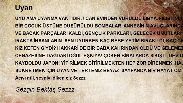 Sezgin Bektaş Sezzz