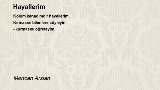 Mertcan Arslan