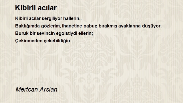 Mertcan Arslan