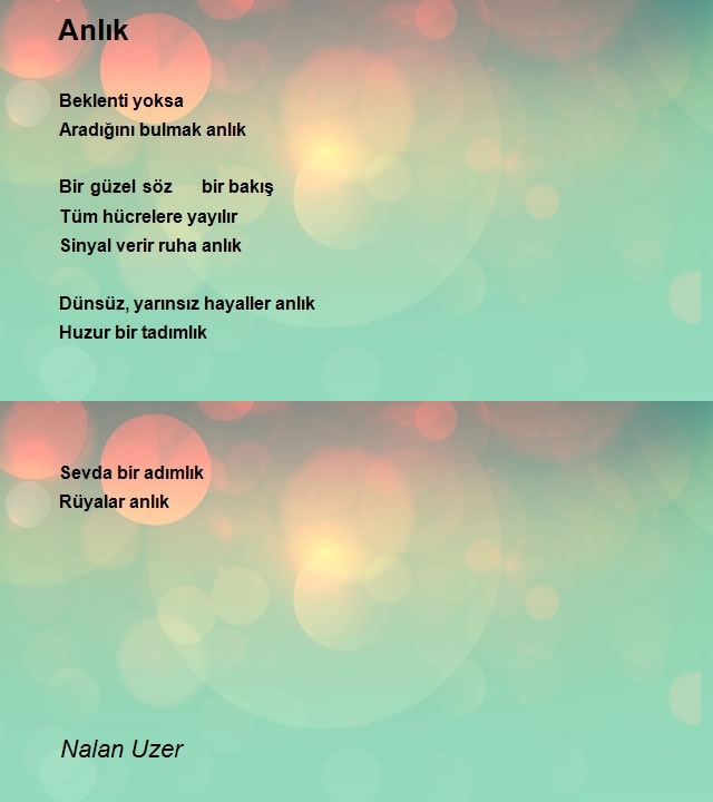 Nalan Uzer