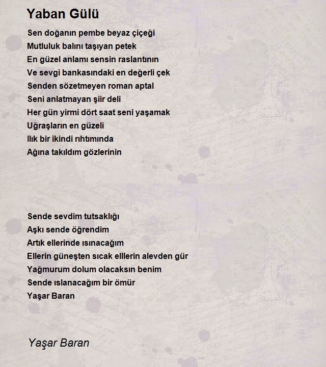 Yaşar Baran