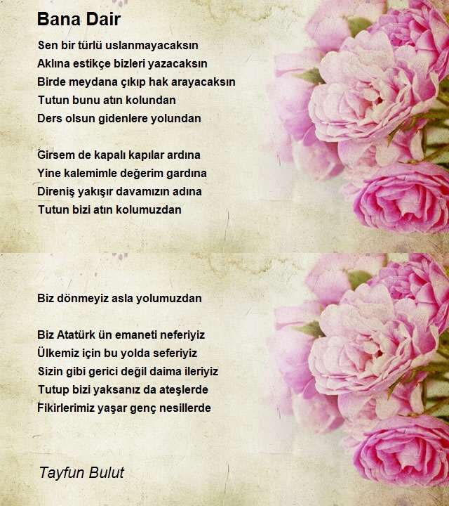 Tayfun Bulut