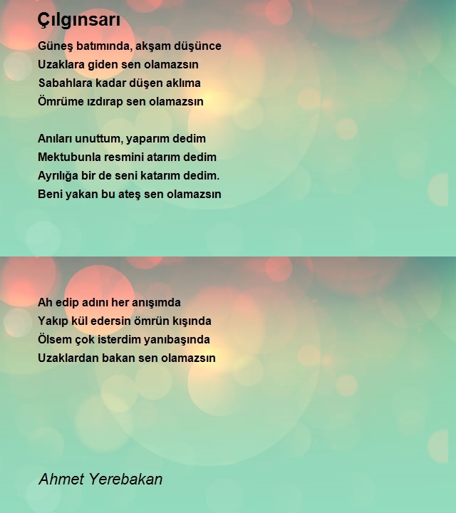 Ahmet Yerebakan