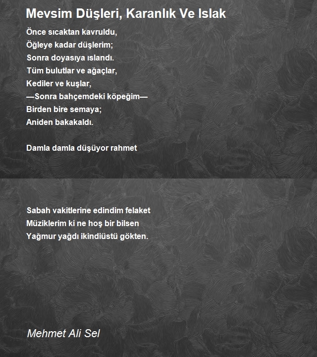 Mehmet Ali Sel