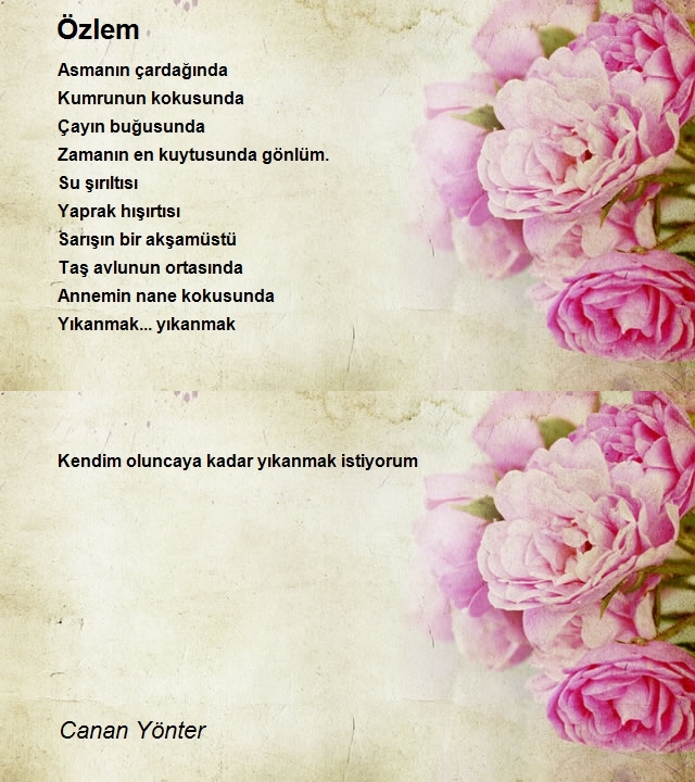 Canan Yönter