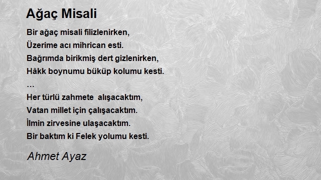 Ahmet Ayaz