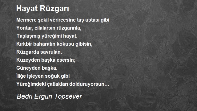 Bedri Ergun Topsever