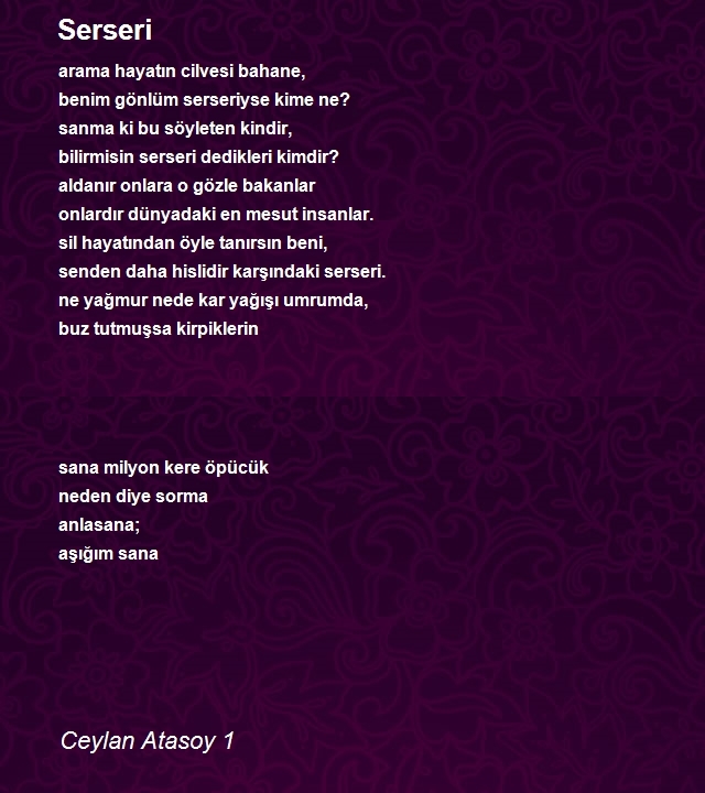 Ceylan Atasoy 1