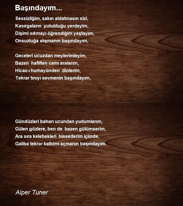 Alper Tuner