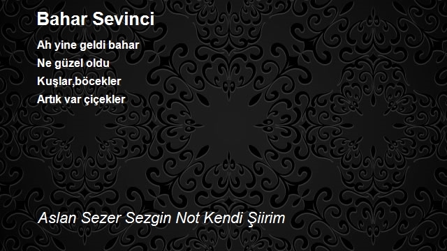 Aslan Sezer Sezgin Not Kendi Şiirim