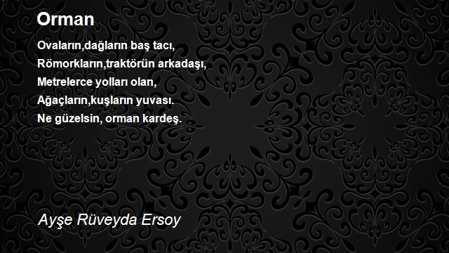 Ayşe Rüveyda Ersoy