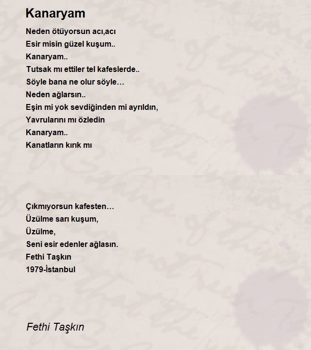 Fethi Taşkın