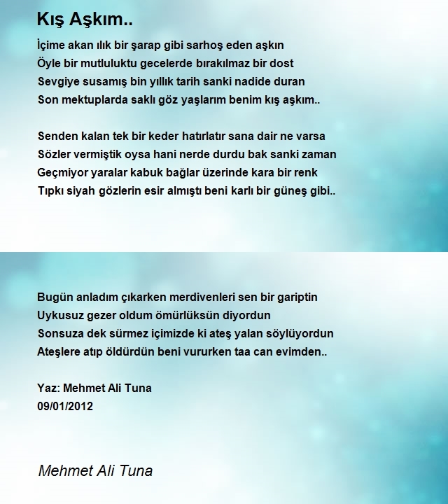 Mehmet Ali Tuna