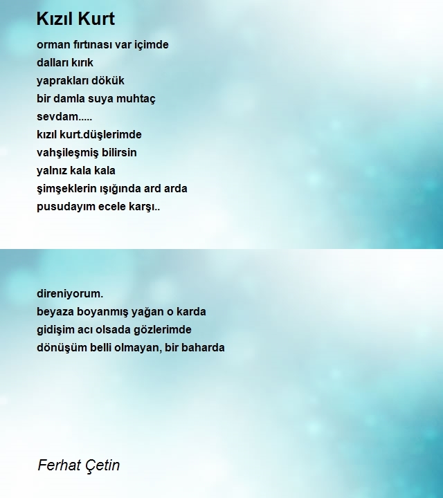 Ferhat Çetin