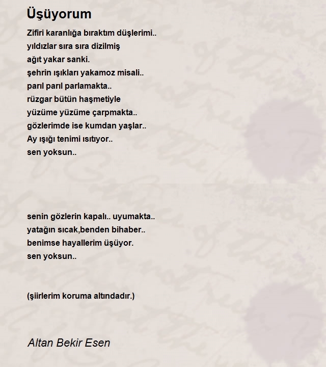 Altan Bekir Esen