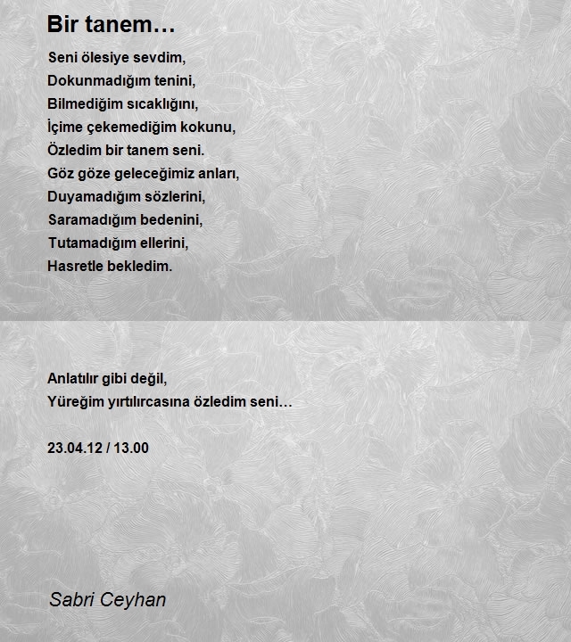 Sabri Ceyhan