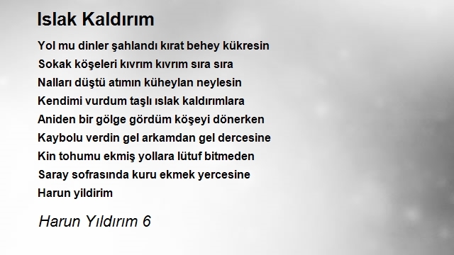 Harun Yıldırım 6