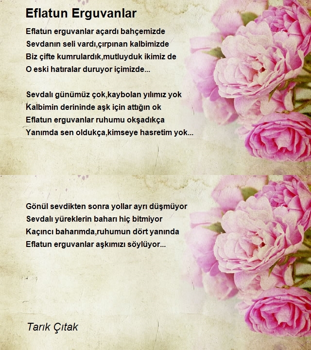 Tarık Çıtak