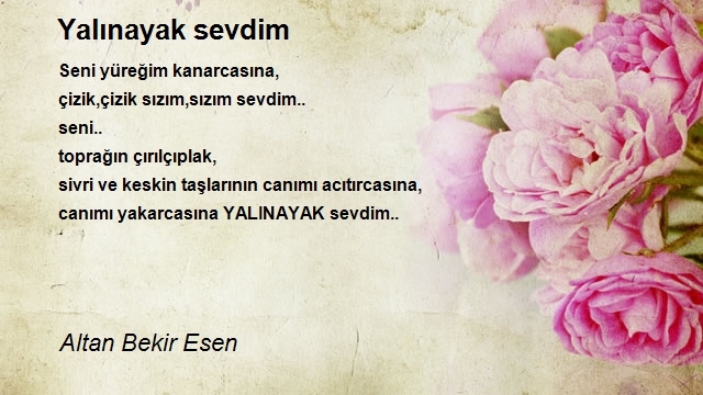 Altan Bekir Esen