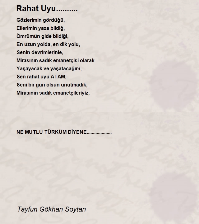 Tayfun Gökhan Soytan